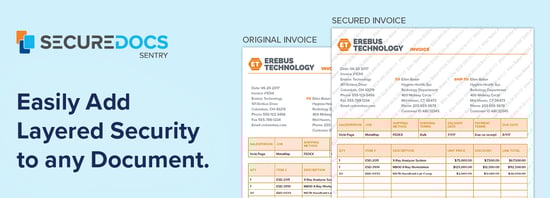 SD_Sentry_email_banner